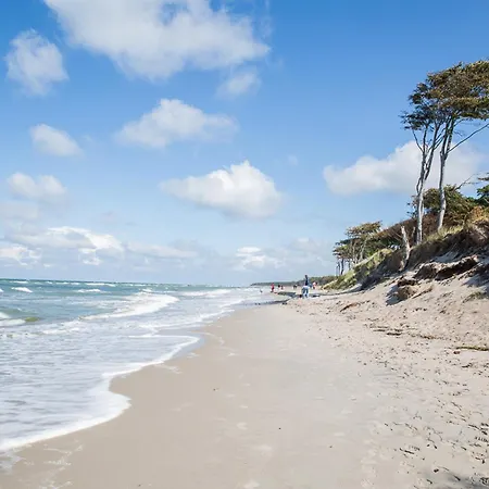 Schilfrohrsaenger 6 *