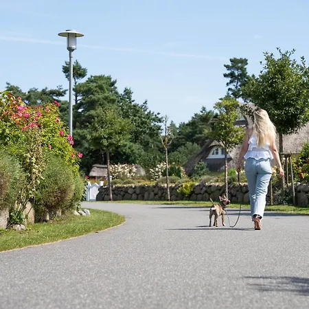 Schilfrohrsaenger 6 בית נופש